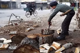 Cuộc sống thanh bình ở Đông Aleppo qua ảnh mới nhất