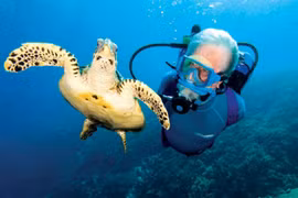 Điểm đến lý tưởng cho người thích khám phá đáy đại dương