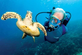 Điểm đến lý tưởng cho người thích khám phá đáy đại dương
