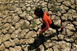 Bộ mặt khủng khiếp của biến đổi khí hậu