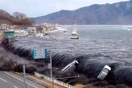 Bộ trưởng Nhật Bản “vạ miệng" về thảm họa sóng thần