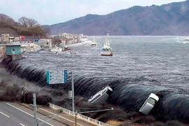 Bộ trưởng Nhật Bản “vạ miệng" về thảm họa sóng thần