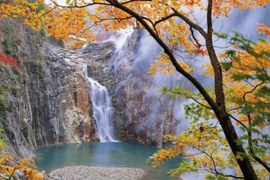 Choáng ngợp cảnh đẹp hút hồn ở vùng Tohoku, Nhật Bản