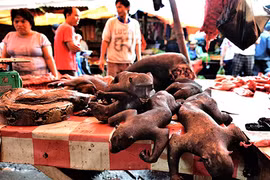 Hãi hùng khu chợ bán thịt khỉ ở Indonesia