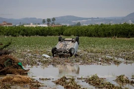 Khủng khiếp mưa lũ cuốn phăng người, ôtô ở Tây Ban Nha