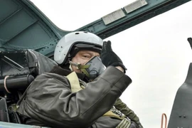 Chùm ảnh các nguyên thủ quốc gia trong buồng lái máy bay