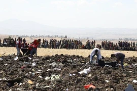 Chuyên gia nói gì về tai nạn liên hoàn của Boeing 737 MAX?