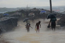 Cảnh ngộ thương tâm của người tị nạn Rohingya