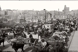 Ảnh hiếm về thành phố Sydney hồi thập niên 1900