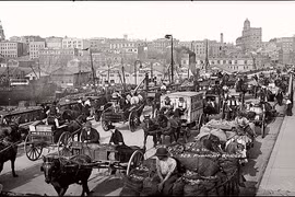 Ảnh hiếm về thành phố Sydney hồi thập niên 1900
