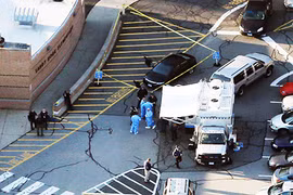 Bát cổ 1000 năm tuổi bán được giá kỷ lục 850 tỷ đồng