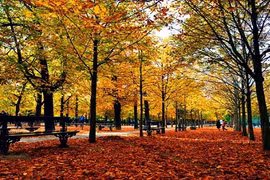 Đẹp nao lòng những thành phố quyến rũ nhất châu Âu vào thu