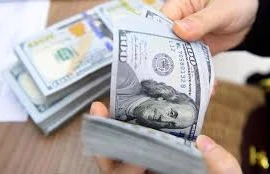 Thấy gì từ việc Ngân hàng Nhà nước lên phương án bán USD?