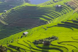 CNBC: Mù Cang Chải lọt top điểm đến hấp dẫn nhất năm 2020 