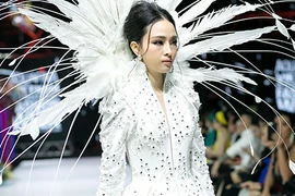 Trương Hồ Phương Nga phản ứng ra sao trước ồn ào catwalk?