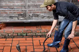 Đột nhập làng nuôi mãng xà độc nhất Thủ đô Hà Nội