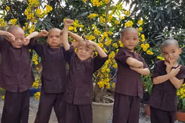 Vẻ đáng yêu của 5 chú tiểu thi Thách thức danh hài mùa 6