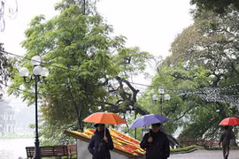 Dự báo thời tiết 1/11: Hà Nội mưa lạnh, Trung Bộ mưa lớn