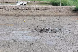 Phát hiện bộ xương người bí ẩn dưới ao nuôi tôm ở Tiền Giang