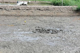 Phát hiện bộ xương người bí ẩn dưới ao nuôi tôm ở Tiền Giang