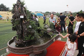 Chiêm ngưỡng “Việt Bắc thu nhỏ” được “hét” giá 500 triệu đồng 