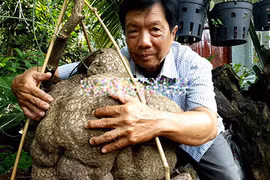 Củ bình vôi nặng trên 40kg, 15 triệu chủ vẫn không bán