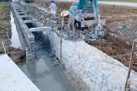 TP HCM: Liên danh 2 thành viên trúng gói thầu xây lắp hơn 13 tỷ tại Cần Giờ