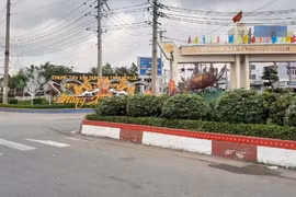 Long An: Bến Lức chi hơn 1,6 tỷ trang trí xuân năm 2025