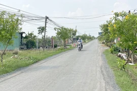  Long An: Gói thầu nâng cấp đường Đinh Văn Nghề về tay Cty Giao thông Nam Bộ