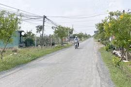  Long An: Gói thầu nâng cấp đường Đinh Văn Nghề về tay Cty Giao thông Nam Bộ