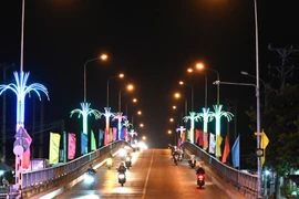 Long An: Chi hơn 5 tỷ lắp đèn trang trí trên địa bàn huyện Bến Lức 