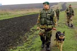 Lính biên phòng Ukraine đào ngũ, trốn sang Nga xin tị nạn