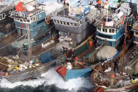 Tàu Trung Quốc đánh bắt cá trái phép tại Hàn Quốc