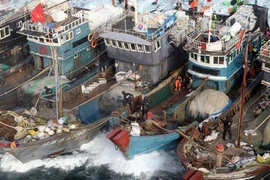 Tàu Trung Quốc đánh bắt cá trái phép tại Hàn Quốc