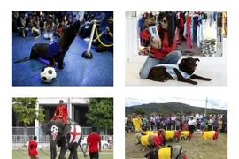 Muôn màu động vật cổ động World Cup 2014