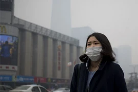 “Điểm trừ” của các thành phố du lịch nổi tiếng thế giới