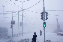 Khám phá cuộc sống ở nơi lạnh giá nhất thế giới