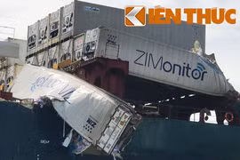 Đâm tàu hàng container trên sông Đồng Nai, dân lao vào “hôi của”