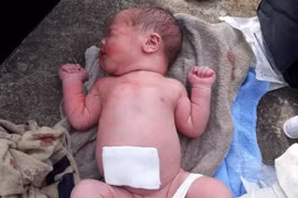 Bé trai vừa cắt dây rốn, trên người còn dính máu bị bỏ rơi trong bụi hoa giấy 