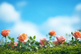 Phụ nữ thực sự thông minh không phải khéo léo giao tiếp hay giỏi ăn nói mà là hiểu được 2 chữ này