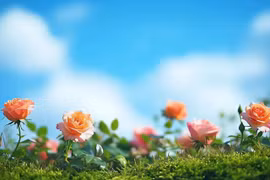 Phụ nữ thực sự thông minh không phải khéo léo giao tiếp hay giỏi ăn nói mà là hiểu được 2 chữ này