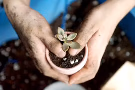 Bớt một cọng rác, thêm một mầm xanh