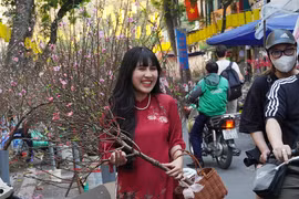 Tấp nập chợ hoa Hàng Lược