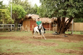 Một ngày tại Câu lạc bộ Ngựa Hà Nội 