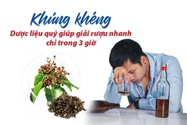 Khúng khéng – Dược liệu quý giúp giải rượu nhanh chỉ trong 3 giờ