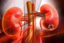 6 biến chứng suy thận mạn và cách kiểm soát nhờ thảo dược