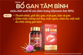 Silymarin - Hiểu và sử dụng đúng để tăng cường chức năng gan