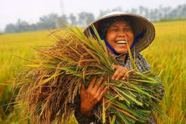 Những chính sách quan trọng nào có hiệu lực từ tháng 2/2023? 