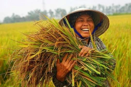 Những chính sách quan trọng nào có hiệu lực từ tháng 2/2023? 