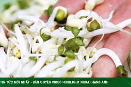 4 lưu ý cần tránh khi ăn giá đỗ